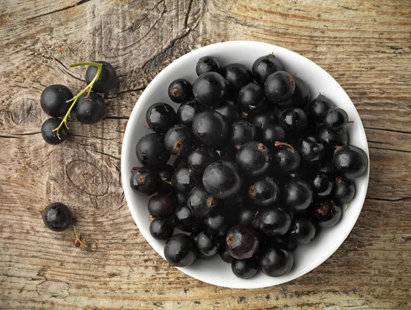 Black currant in a white bowl — Stock Photo, Image