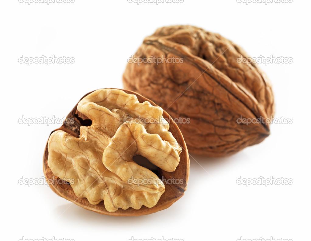 walnuts macro