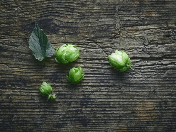 Frische Grüne Hopfenzapfen Auf Altem Holz Küchentisch Hintergrund Draufsicht Stockbild