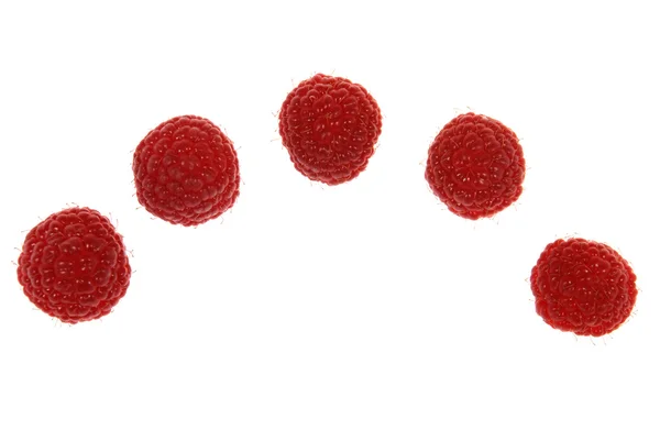 Raspberries on row — Stock Photo, Image