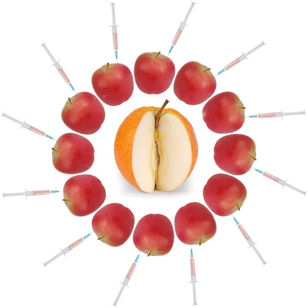 Genetically modified food — Stock Photo, Image