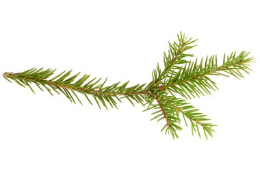 Noel ağacı kıyafeti.