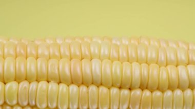 Sarı arka planda mısır kulağı, aşırı makro ateş. Sağdan sola hareket et. 4K UHD video görüntüsü 3840X2160.