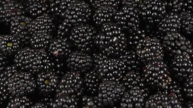 Böğürtlen Yan görüş. Döngü hareketi. Rotasyon 360. 4K UHD video görüntüsü 3840X2160.