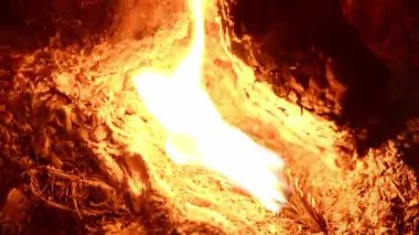 Yanan turuncu ve kırmızı közler. Cırlayan cırcır böceklerinin sesini içeriyor. Yan görüş. 4K UHD video görüntüsü 3840X2160