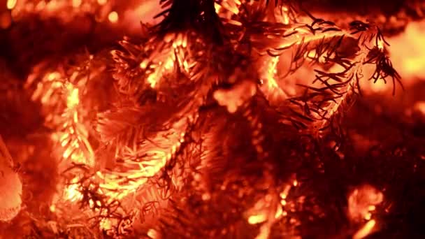 Incandescent Orange Red Embers Texture Contains Sound Crackling Chirping Crickets — Stock Video