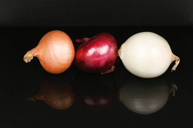 Akrilik siyah zemin üzerinde üç soğan ampulü (kırmızı, sarı ve beyaz) izole edilmiştir. Yüksek çözünürlüklü. Tam alan derinliği.