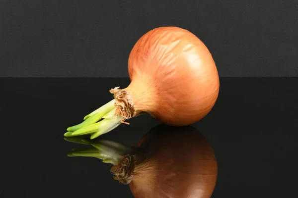 Cebolla Con Brotes Verdes Aislados Sobre Fondo Negro Acrílico Comida —  Fotos de Stock