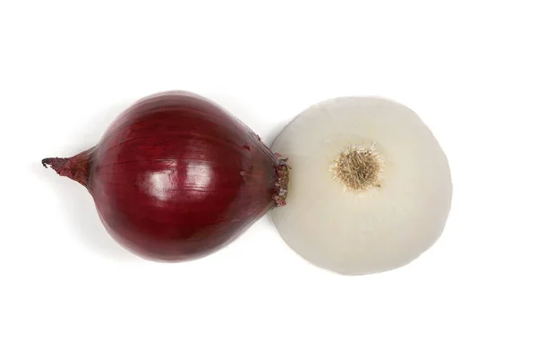 White Red Onion Bulb Isolated White Background High Resolution Photo — Stock Photo, Image