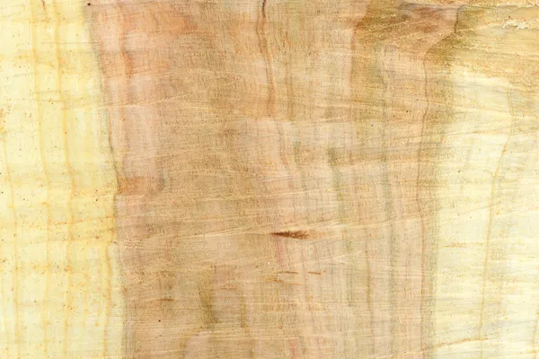 Draufsicht Auf Die Oberfläche Des Frischen Baumstumpfes Mit Jahresringen Nahaufnahme — Stockfoto