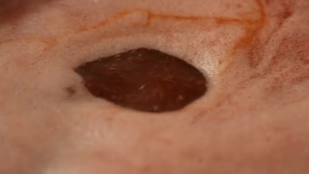 Fierberea Gemului Viburnum Pulpă Într Apropiere Vedere Laterală Uhd Imagini — Videoclip de stoc