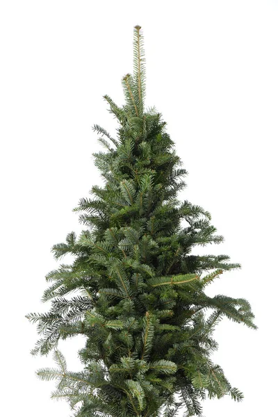 Weihnachtsbaum Isoliert Auf Weißem Hintergrund Tanne Ohne Dekoration Foto Hoher — Stockfoto