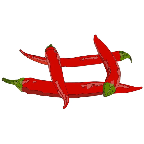 Červený Chilli Pepř Izolované Bílém Pozadí Side View Vektorová Ilustrace — Stockový vektor