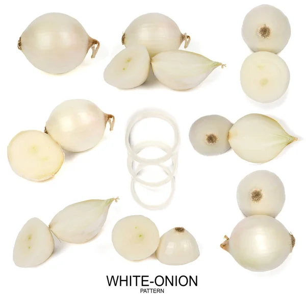Creative Layout Made White Onion High Resolution Photo Full Depth — Stock Photo, Image