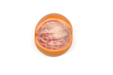 Beyaza izole edilmiş mükemmel rötuşlanmış greyfurt. Yüksek çözünürlüklü. Tam alan derinliği.