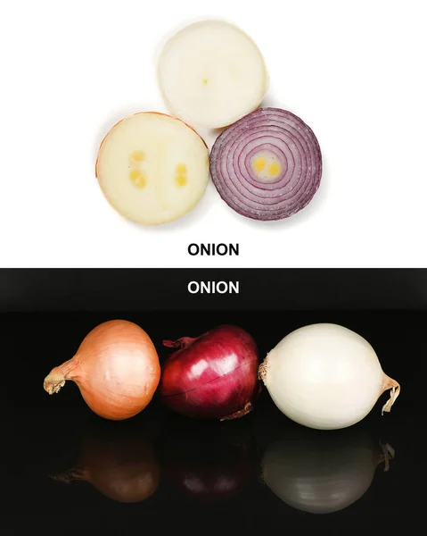 Creative Layout Made Three Onion Bulbs Different Colors Red Yellow — Stock Photo, Image