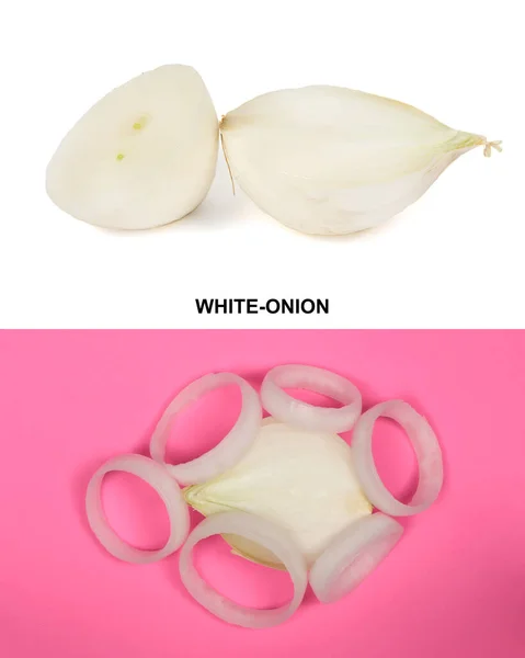 Creative Layout Made White Onion Bulb High Resolution Photo Full — Stock Photo, Image