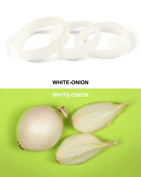 Creative Layout Made White Onion Bulb High Resolution Photo Full — Stock Photo, Image