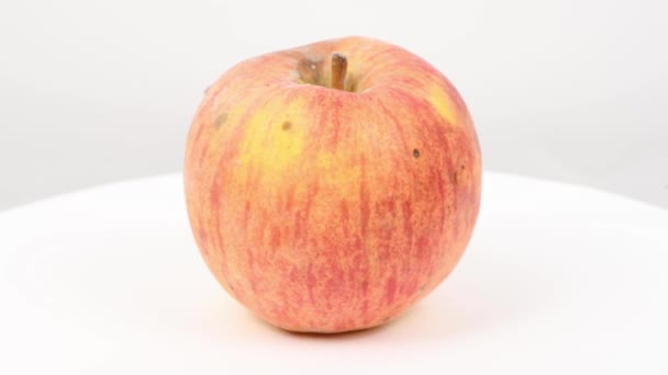 Gammeliger Apfel Isoliert Auf Weiß Seitenansicht Uhd Videomaterial 3840X2160 — Stockvideo