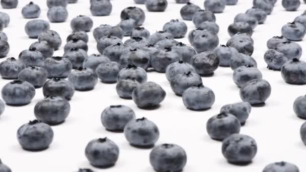 Lots Blueberries White Background Side View Loop Motion Rotation 360 — Stock Video