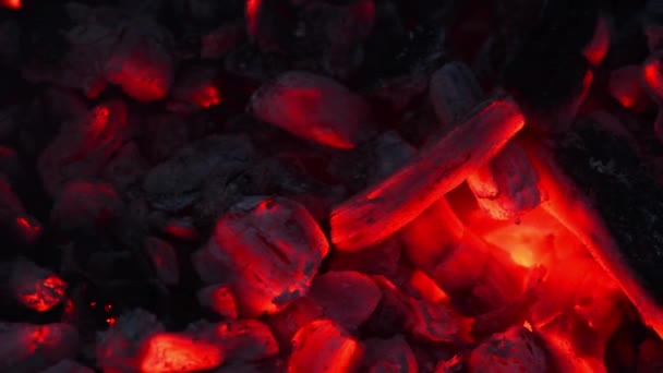 Тлеющие Угли Огня Живые Угли Горящий Уголь Заднем Плане Текстуры — стоковое видео