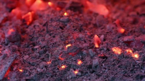 Smoldering Embers Fire Live Coals Burning Charcoal Background Texture Closeup — Stock Video