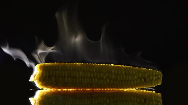 Горячая Кукуруза Паром Черном Зеркале Вид Сбоку Крупный План Семян — стоковое видео