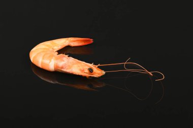 Karides akrilik siyah arka planda izole edilmiş. Yüksek çözünürlüklü. Tam alan derinliği.