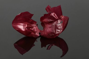 Siyah akrilik zemin üzerinde soğan kabuğu. Kırmızı soğan kabuğu. Yüksek çözünürlüklü. Tam alan derinliği.