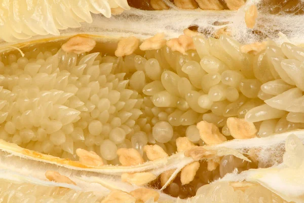 Bakgrund Gjord Pomelo Högupplöst Foto Fullständigt Skärpedjup — Stockfoto