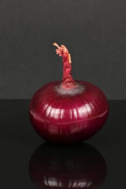 Kırmızı soğan soğanı akrilik siyah arka planda izole edilmiş. Yüksek çözünürlüklü. Tam alan derinliği. 