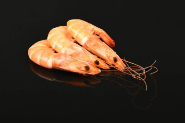 Karides akrilik siyah arka planda izole edilmiş. Yüksek çözünürlüklü. Tam alan derinliği.