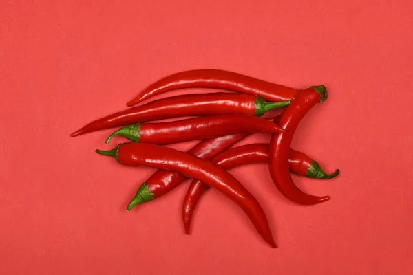 Red Chili Pepper Isolated Red Background High Resolution Photo Full — 图库照片