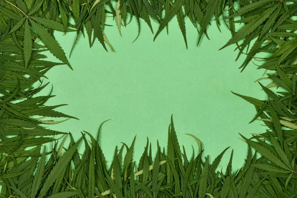 緑の背景に大麻の葉を持つ正方形のフレーム 高解像度写真 場の深さ — ストック写真