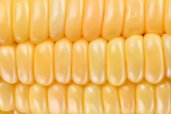 Sweet Corn Boiled Corn Background High Resolution Photo Full Depth — Stock Photo, Image