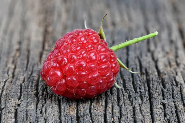 Raspberry Ripe Tasty Isolated Dark Wood Background High Resolution Photo — Stock Photo, Image