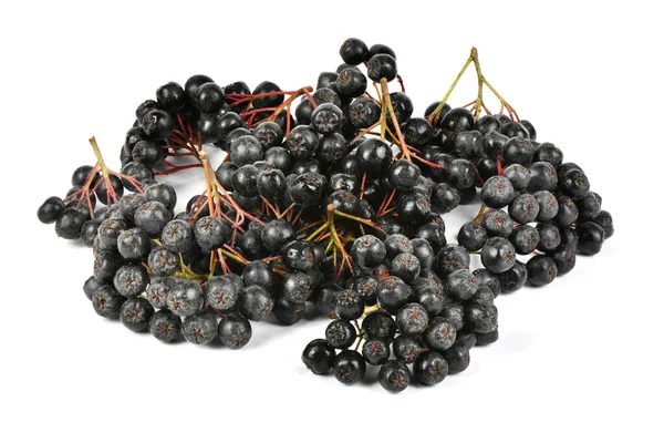 Ramo Com Bagas Maduras Aronia Melanocarpa Chokeberry Preto Isolado Sobre — Fotografia de Stock