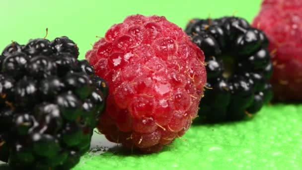 覆盆子和黑莓交替种植 水滴中的覆盆子和黑莓 从右到左移动 侧视图 循环运动 轮转360 Uhd视频3840X2160 — 图库视频影像