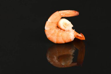 Karides akrilik siyah arka planda izole edilmiş. Yüksek çözünürlüklü. Tam alan derinliği.