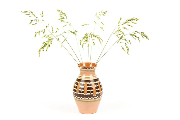 Épillets Herbe Dans Vase Classique Bouquet Herbe Verte Isolé Sur — Photo