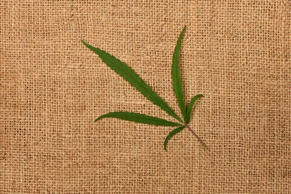 Marijuana Cannabis Leaf Sackcloth Background High Resolution Photo Full Depth — Stock Photo, Image