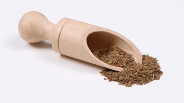 A heap of quality seeds of mathiola. Side view. 4K UHD video footage 3840X2160.