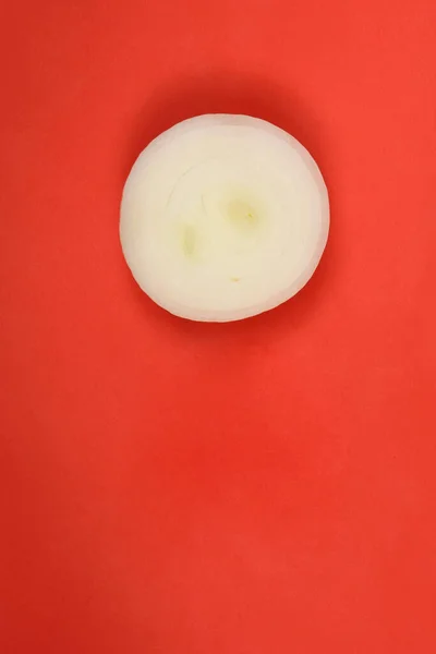 Sliced White Onion Rings Isolated Red Background High Resolution Photo — Stock Photo, Image