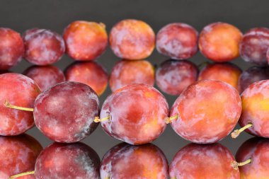 Olgun erik aynada izole edilmiş. Yüksek çözünürlüklü. Tam alan derinliği.