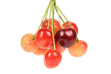 Beyaz arka planda pembe kiraz. Yüksek çözünürlüklü. Tam alan derinliği.