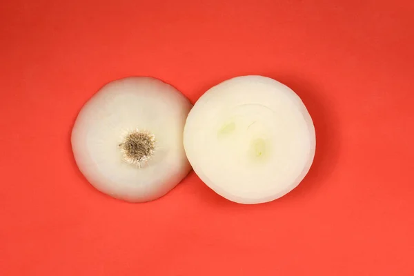 White Onion Bulb Isolated Red Background High Resolution Photo Full — Stock Photo, Image