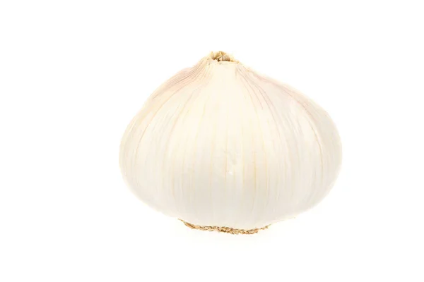 Garlic Isolated White Background High Resolution Photo Full Depth Field — Stock Photo, Image