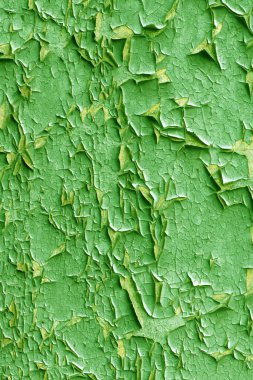 Eski yeşil boyanın arka planı. Yüksek çözünürlüklü. Tam alan derinliği.