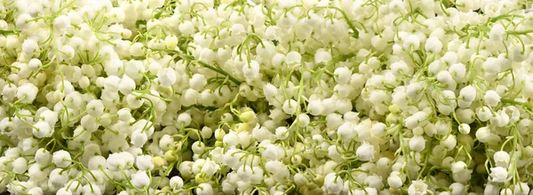 Bouquet of lilies of the valley. Panorama consisting of lily of the valley flowers. High resolution photo. Full depth of field.