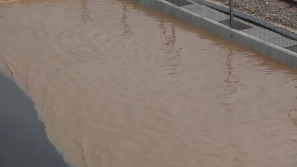 Stormachtig weer - Israël regenachtige winter — Stockvideo